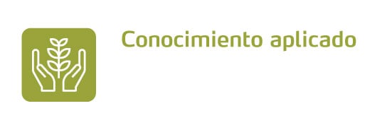 Conocimiento aplicado