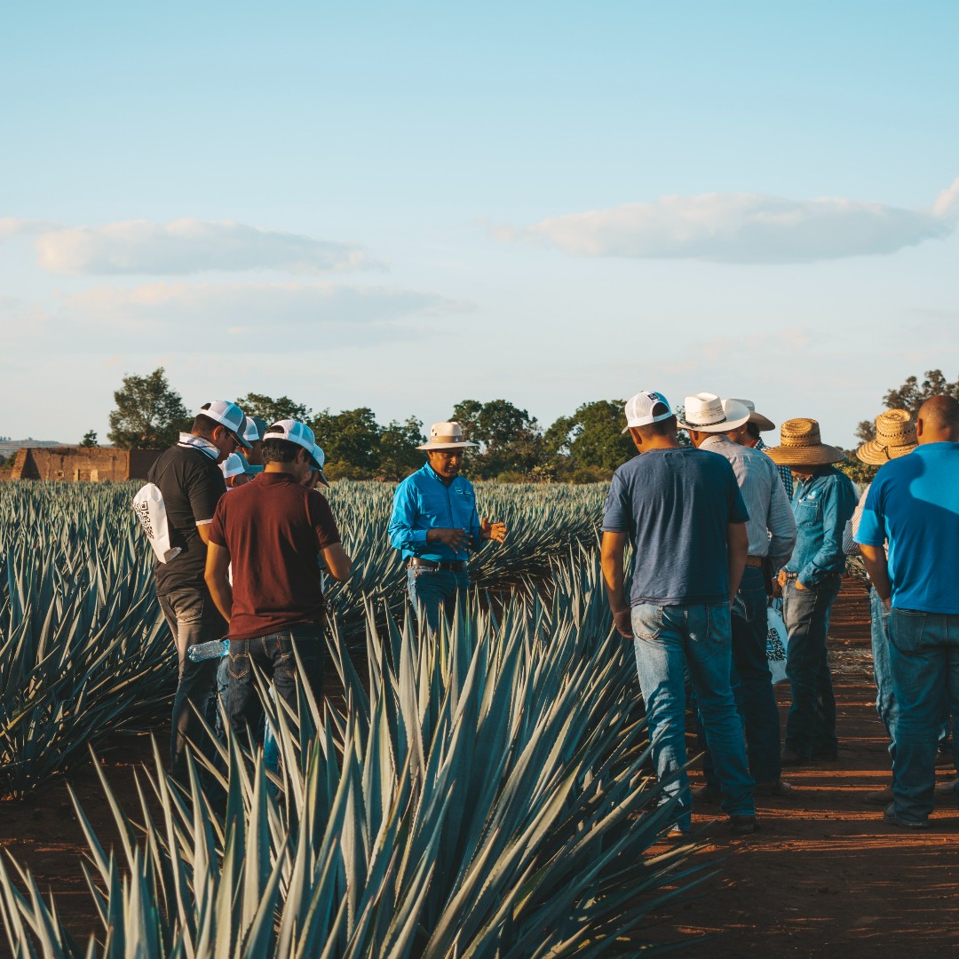 MI VOCACION ES LA NUTRICION.jpg