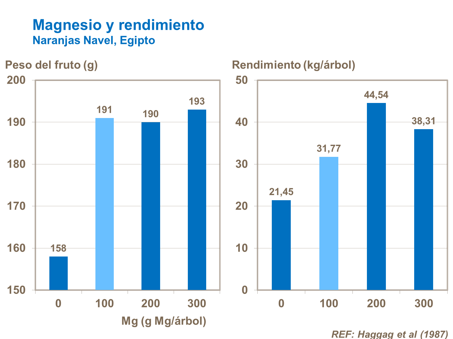 Magnesio y rendimiento